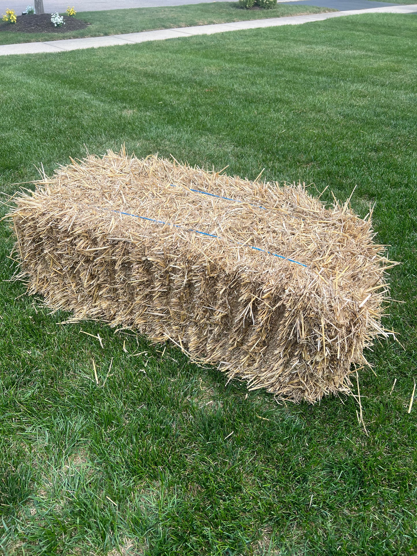 Full Size Hay Bale